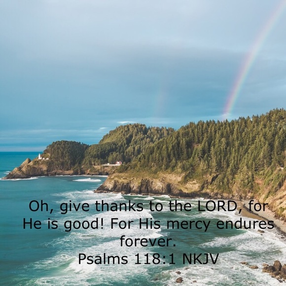 Meet your Posher, Ali - Picture 6 of 7